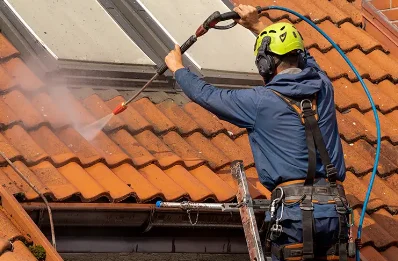 Démoussage et hydrofuge de toiture à Rapaggio